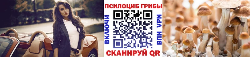 Галлюциногенные грибы Psilocybine cubensis  Купить где  Тайга 